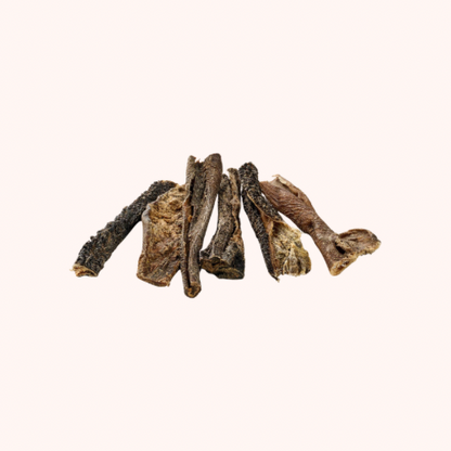 🐶 Panses de chameau pour chien