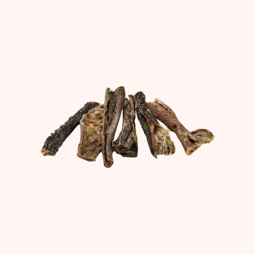 🐶 Panses de chameau pour chien