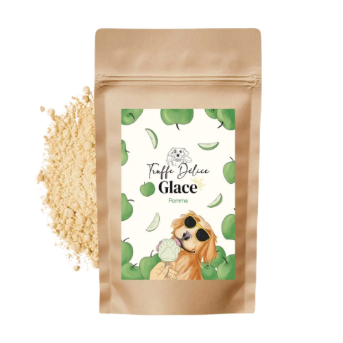 🐶 Glaces pour chien 🍦❄️