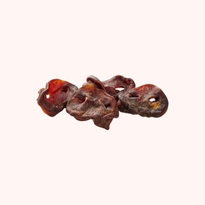 🐶 Nez de porc pour chien