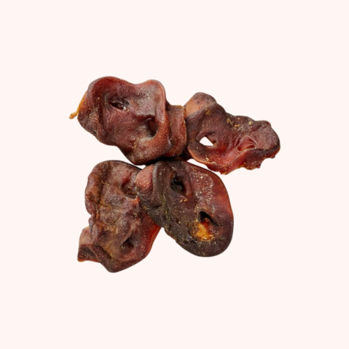 🐶 Nez de porc pour chien