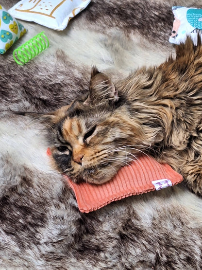 🐱 Coussin velours