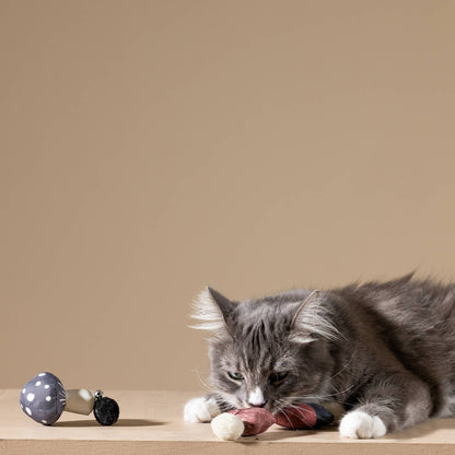 🐱 Ensemble de jouets pour chat - AUTOMNE