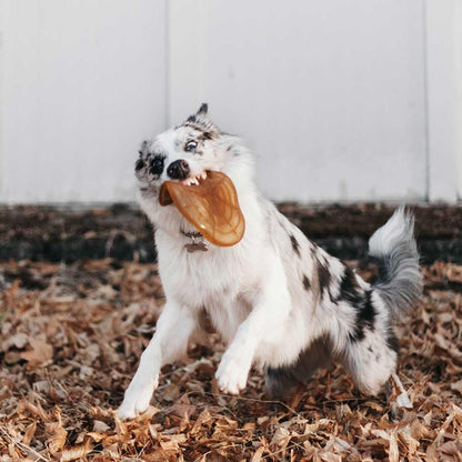 🐶 Frisbee en résine organique - Les p'tits potes