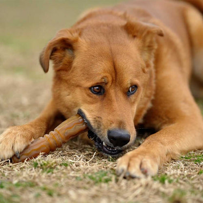 🐶 Jouet FLOSSER en résine organique naturelle pour chien