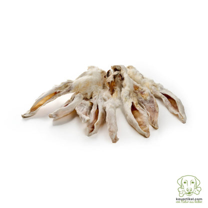 🐶 Oreilles de lapin avec fourrure pour chien