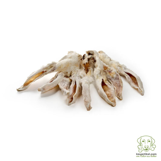 🐶 Oreilles de lapin avec fourrure pour chien