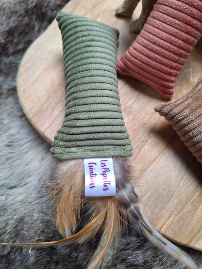 🐱 Petit KICK plumes