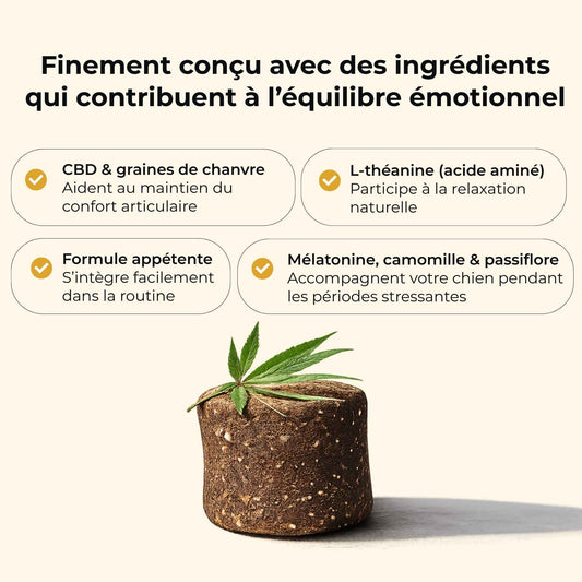 🐶 Friandises anti-stress au CBD