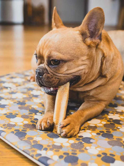 🐶 Fromages de Yak - Plusieurs saveurs