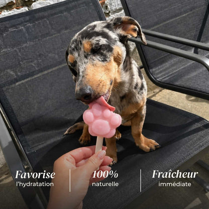 🐶 Glaces pour chien 🍦❄️