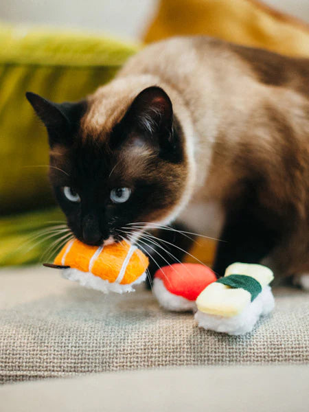 🐱 Ensemble de jeux - SUSHI