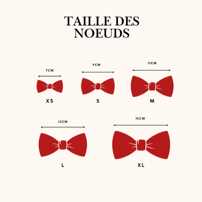 🐶 Nœuds de Noël